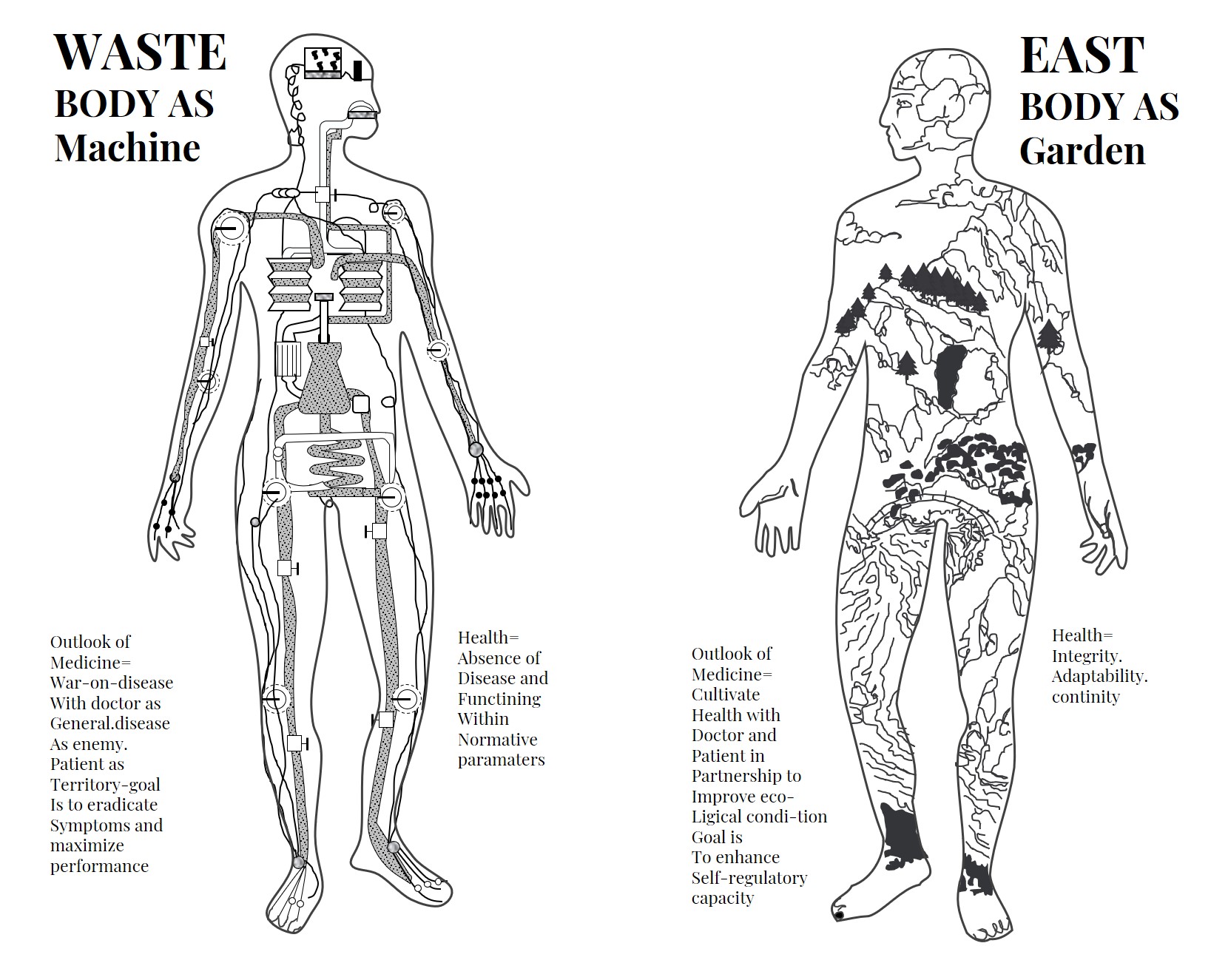 Eastern vs Western approach to the body — Body as Machine vs Body as Garden